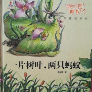 杨红樱画本纯美童话系列《一片树叶 两只蚂蚁》
