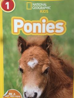 Ponies