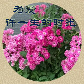 《为爱 许一生的时光》/作者: 春暖花开