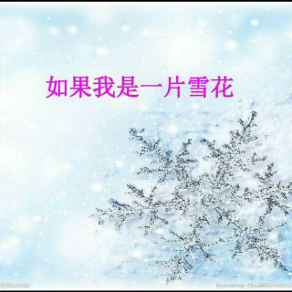 如果我是一片雪花