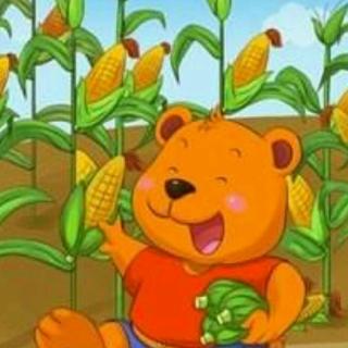 小熊种玉米