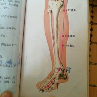 足厥阴肝经循行大敦行间太冲中封蠡沟中都