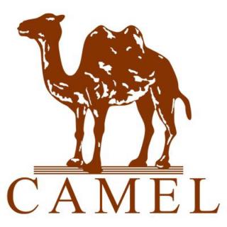 the camel 骆驼
