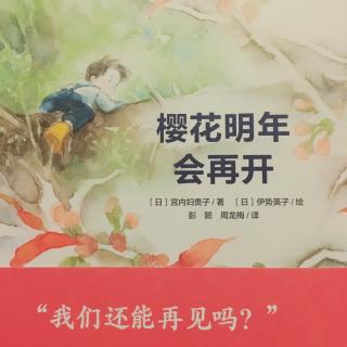 《樱花明年会再开》