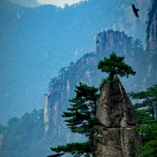 小可欣《游黄山日记》