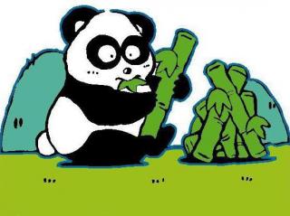 熊猫村长的责任