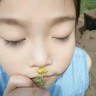 【拔河马比赛】在线收听_王小童9595_荔枝