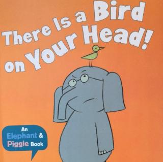 【英语故事】There is a bird on your head
