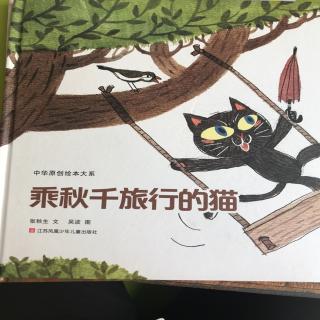 乘秋千旅行的猫