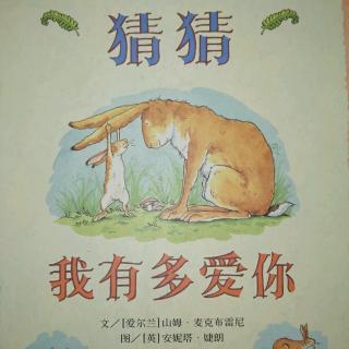 《猜猜我有多爱你》