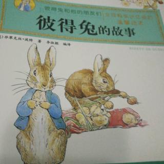 彼得兔的故事——第一册