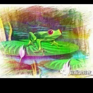 青蛙🐸写诗