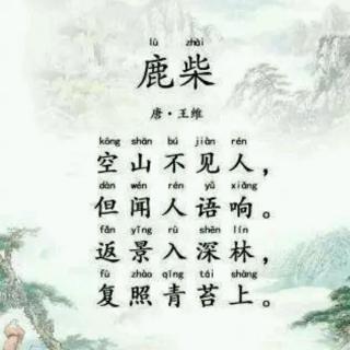 冯俊读古诗《鹿柴》