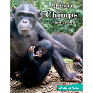 All  About  Chimps～Leo腾