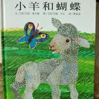 陈毅轩讲绘本故事《小羊和蝴蝶》