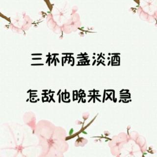 翻唱—以后的以后