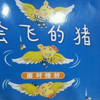 会飞的猪