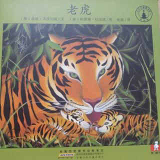 小小自然图书馆《老虎🐯》