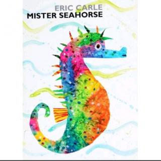 Mr. Sea Horse 海马先生