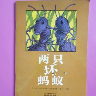 两只坏蚂蚁