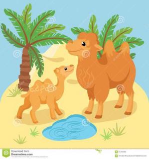 园长妈妈讲故事《爱美的小骆驼》