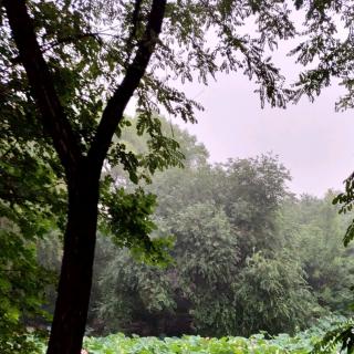 本根不动则枝叶茂荣