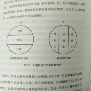 《人生脚本》第二十三章