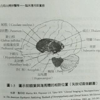 动力取向精神医学第一章1