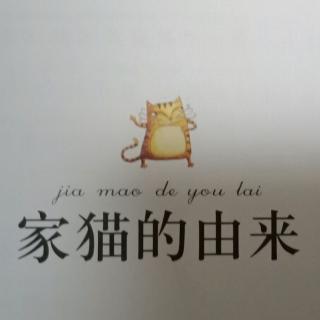 陈睿新  讲故事  《家🐱猫的由来》