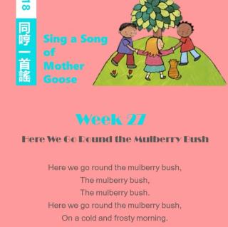 Week27 Here We Go Round the Mulberry Bush