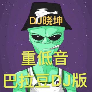 DJ晓坤-重低音巴拉豆DJ版