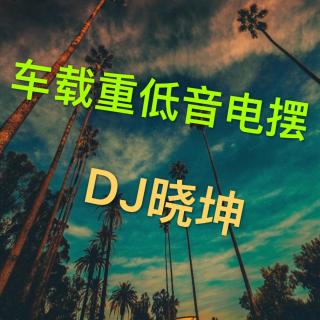 DJ晓坤-车载重低音电摆