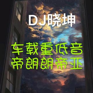 DJ晓坤-车载重低音-帝朗朗帝亚