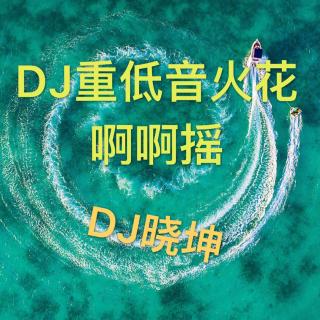DJ晓坤-DJ重低音火花-啊啊摇