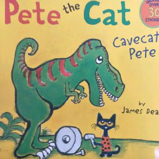 🌵Peter the Cat cavecat peter