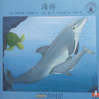 小小自然图书馆《海豚🐬》