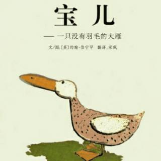 生命的励志书——宝儿，一只没有羽毛的大雁！
