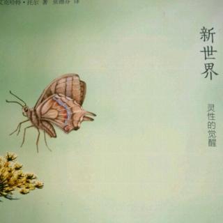 与身体的认同