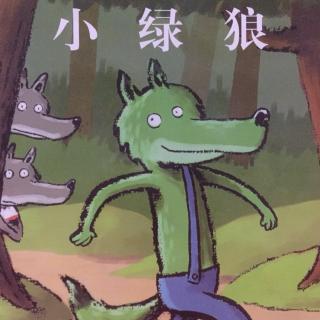 【🐺小绿狼】