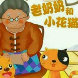 176.老奶奶和小花猫