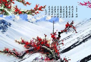 睢赞经典诵读《沁园春 雪》