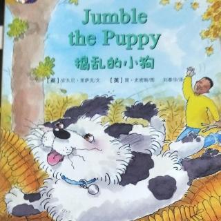 培生儿童英语分级阅读（12级）：捣乱的小狗Jumble the Puppy 2