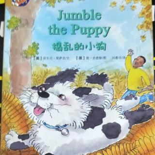 培生儿童英语分级阅读（12级）：捣乱的小狗Jumble the Puppy 3