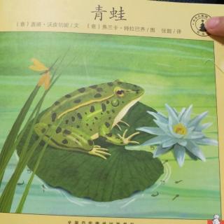 小小自然图书馆《青蛙🐸》