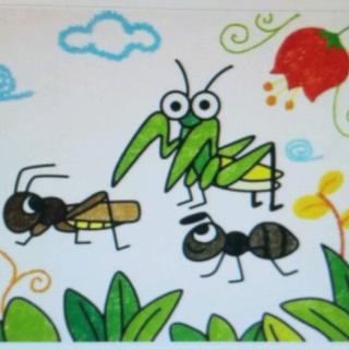 小蚂蚁大战螳螂