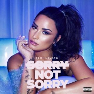 【英文翻唱】Sorry Not Sorry