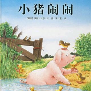 小猪闹闹