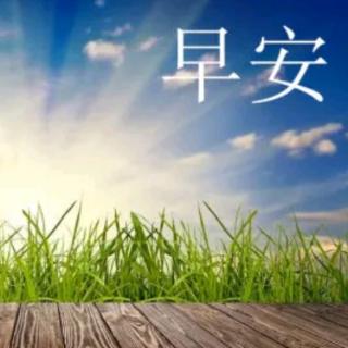 西魏幼儿园早安☀