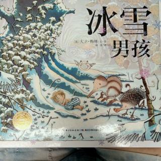 陈毅轩讲绘本故事《冰雪男孩》