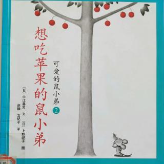 想吃苹果🍎的鼠小弟